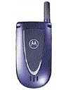 Best available price of Motorola V66i in Chile